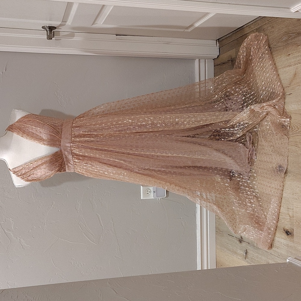 Windsor Rose Gold Maxi Dress